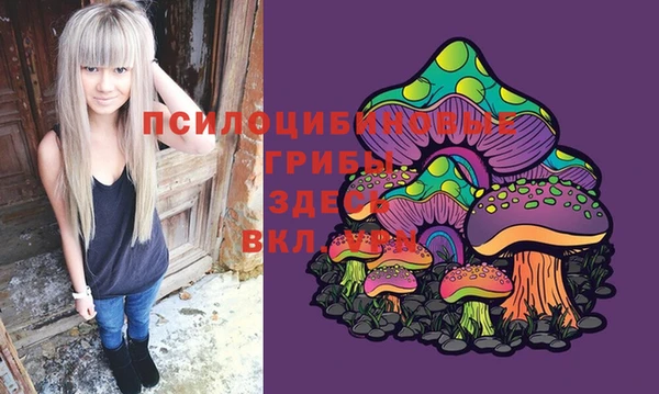 МДМА Дрезна