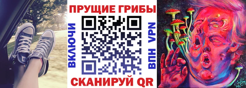 Псилоцибиновые грибы Psilocybine cubensis  Чехов 